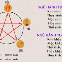 Kim khắc Mộc là gì? Những quy luật cơ bản và cách hóa giải