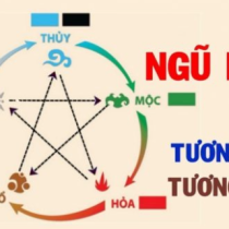 Tư vấn vị trí, số lượng, bể cá phong thủy cho từng tuổi và từng mệnh