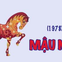 Hướng bàn làm việc tuổi Mậu Ngọ 1978 tốt xấu cho Nam - Nữ