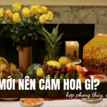 Về nhà mới nên cắm hoa gì để vừa thẩm mỹ vừa hợp phong thủy