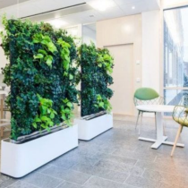 Tuyển tập 10+ mẫu nhà ống có sân vườn ở giữa đẹp và ấn tượng