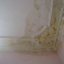 Biện pháp xử lý chống thấm trần nhà bê tông hiệu quả và dễ thực hiện mới nhất