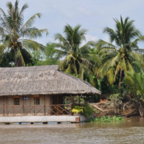 Các loại nhà lá, hướng dẫn lợp nhà bằng lá dừa và lá cọ truyền thống