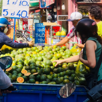 Lối thoát nào cho nông dân trồng cam giá chỉ 2.000 đồng/kg